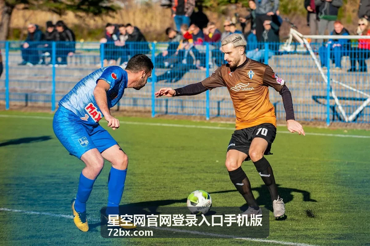 星空网手机版快捷登录功能界面